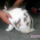 장우진동물병원 이미지