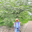 월류봉 둘레길 우매리 화장실 이미지