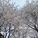 탄금야구장 이미지