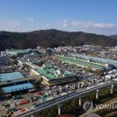 대구청과상회