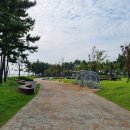 인천송도국제캠핑장 이미지