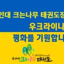 용인대 크는나무 태권도장 이미지