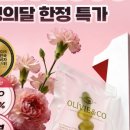 올리브2 네이버블로그