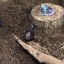 추부농장 | 금산 황굼곤충체험농장, 아이와 함께 곤충체험하고 왔어요.