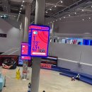 9.81 PARK JEJU 이미지