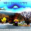 계룡산동학사스타 이미지