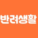 댕댕별숲 애견독채펜션 이미지