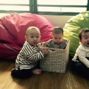 리틀채플린 이미지