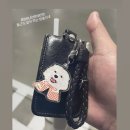 포우포우 반려견 유치원 이미지