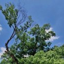 미암1리 이미지