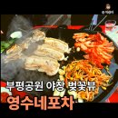영수네 | 부평공원 야장 포장마차 “영수네 포차” 벚꽃뷰 삼겹살 내돈내산 솔직 후기
