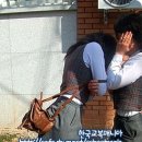 이리북중학교 이미지