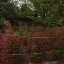 남원읍-35 이미지