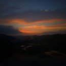 반월-8 Daum카페