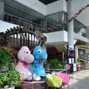 계룡산자연사박물관 이미지