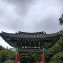 사랑의연리근 | [전남 해남 두륜산 대흥사 43] 초의선사를 만나다!! 25. 10. 7(화)