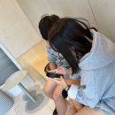 카페오르덴