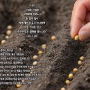 20240811_중고등부 말씀과 명언과 기도_요한복음 12장 24절_밀알의 수학, 하나님 나라의 수학을 누리게 하여 주시옵소서 이미지