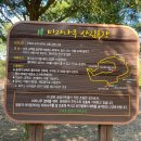 관정목장 | 숲속 힐링체험. 거슨세미 오름 도슨트 투어와 비밀의 숲 방문