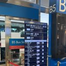 미궁 | 후지큐 하이랜드 입장권 도쿄 고속버스 티켓 팁 가는법 롤러코스터 전율미궁 추천 후기