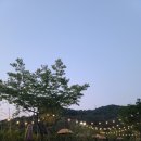 현풍에 생긴 감성 캠프닉 대구 숲에가자 솔직후기^^