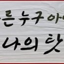 인과인 브런치