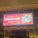 두환 | 싱가포르 여행🇸🇬 (쥬얼창이,술탄모스크,부기스스트리트,가든스 바이 더 베이,마리나 베이 샌즈,머라이언...