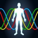 메모리짐 이미지