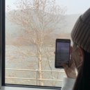 피제이피자 군산점 이미지