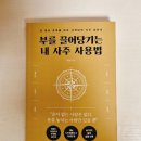 현대생활명리학(초급) | [신간도서] 부를 끌어당기는 내 사주 사용법 - 사연남 지음 60일주 귀인 악연 초년운 중년운 말년운