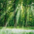 (주)삼림 이미지