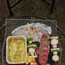 러빙유 카라반 캠핑장 | 충청남도 당진) 러빙유 카라반 캠핑장 / 내돈내산후기(캠핑,바베큐, 보름달. 고양이, 천체망원경, 주차)