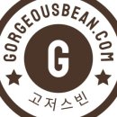 고저스빈