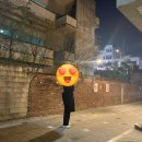 방배중앙로13길 26 (1) | [일상] 퐁당쇼콜라 같이 달달한 연말이 되길🙏 서촌 나들이, 지타워컨벤션 하객후기