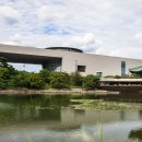 국립중앙박물관 이미지