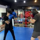 SB 복싱클럽 이미지