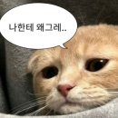 경복대로512번길 32 | 여름의 한 가운데, 8월 ౨ৎ