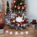 사르넬리 이미지