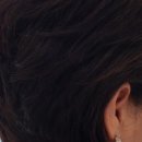 노벨리아 헤어 이미지