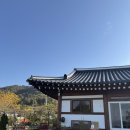 뜨라래 | 순천 가족여행 펜션 추천 마당있는 한옥펜션 ‘꽃뜨라래’ | 내돈내산