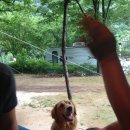 다시올민박 이미지