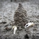 무안황토갯벌랜드 매점 이미지