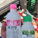 안당농장 이미지