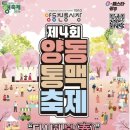 양동머리고기 | 제4회 양동통맥축제 후기(2026. 4. 23.~ 4. 25.)