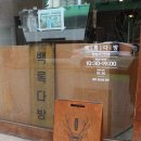 백록동물병원 | 범어동 카페 백록다방 레트로 감성 제대로 느낀 곳