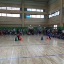 라온초등학교 이미지