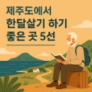 스마일세탁전문점 | 월드스테이, 지구촌 한달살기의 寶庫, 제주도