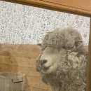 승미농장 이미지