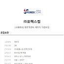 포렉스주