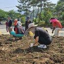 중리마을 이미지